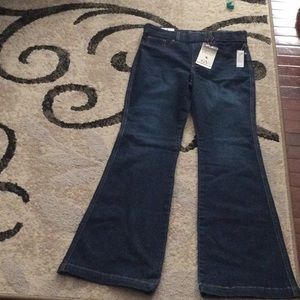 Gloria Vanderbilt shape effect pull on flare jeans. BNWT